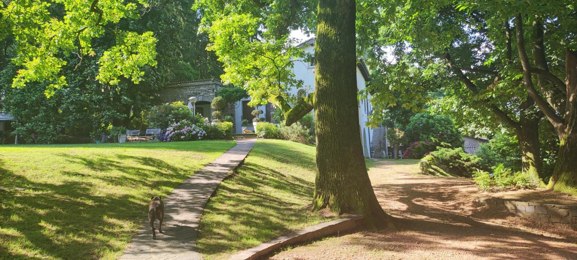"La Selvetta" Bed And Breakfast Buguggiate Экстерьер фото